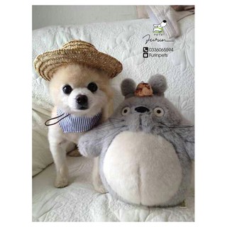 Mũ rơm cho chó mèo