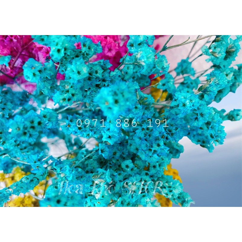 Hoa thuỷ tinh khô ❤️FREESHIP❤️ Hoa khô Limonium phụ kiện chụp ảnh, trang trí nhà cửa sang trọng