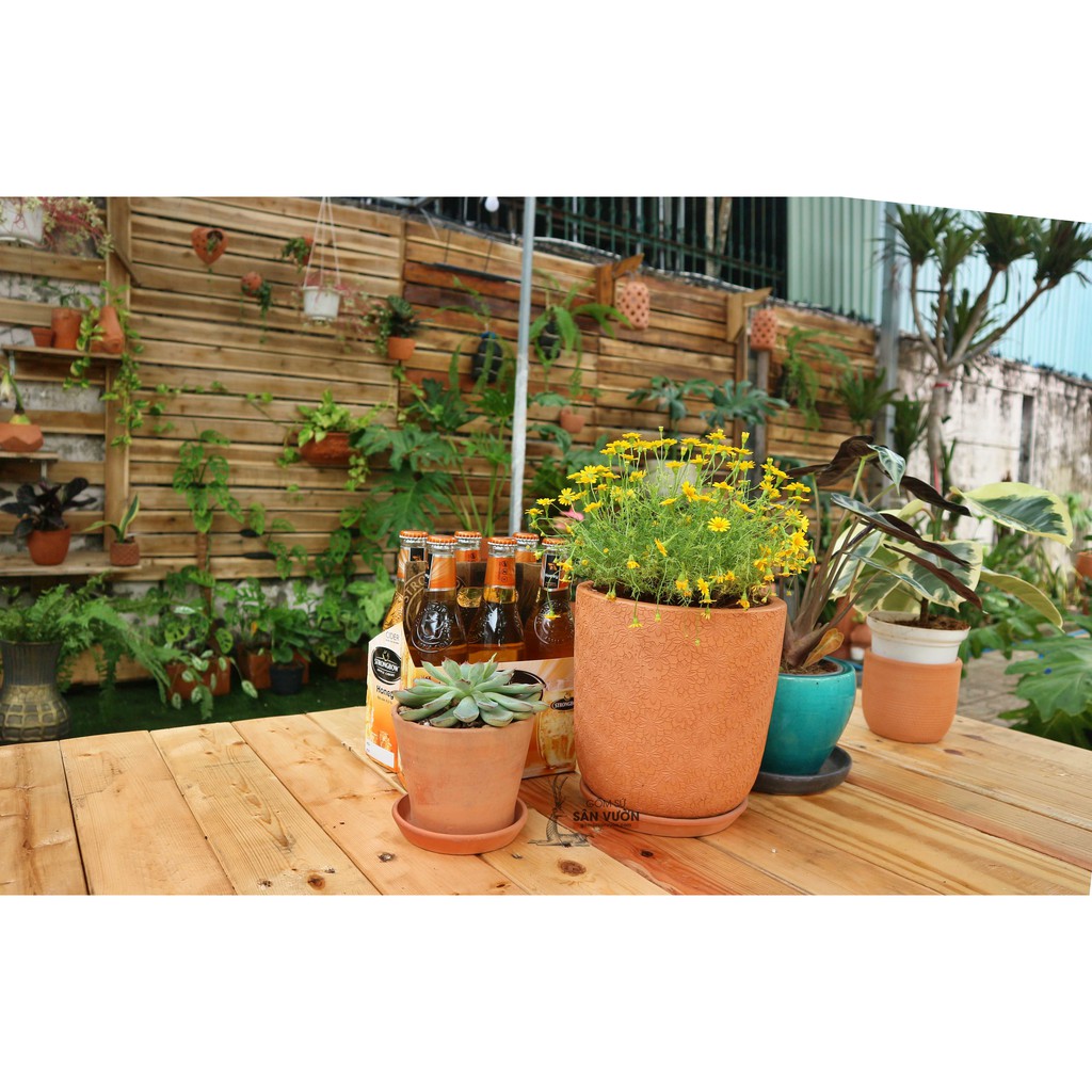 Chậu gốm đất nung kiểu TRỨNG VÂN HOA CÚC size 17cm LPCN19  - Màu gốm đỏ , chậu trồng cây, gốm sứ sân vườn Bình Dư