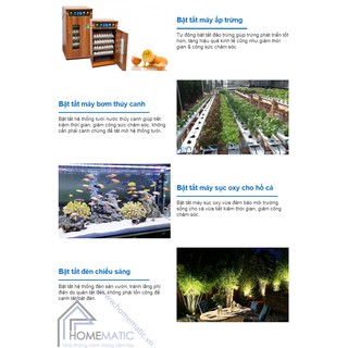 CÔNG TẮC HẸN GIỜ TPE-TM3C