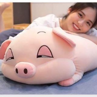 Heo mắt híp phê cần size 90 cm