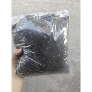 Đất hữu cơ trộn sẵn chuyên trồng cẩm cù, cây cảnh