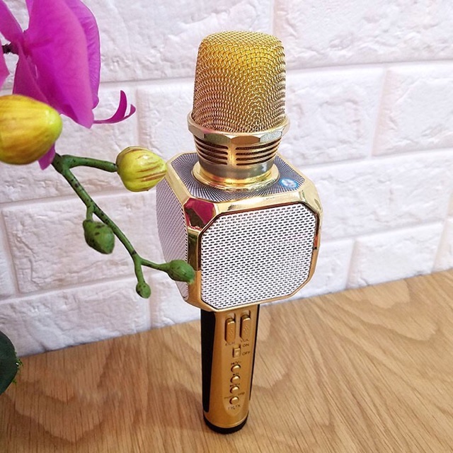[Mua 1 Tặng 1] Micro Karaoke Bluetooth SD10 Kiêm Loa Không Dây, Âm Thanh Cực Hay, Micro Bắt Giọng, Kết Nối Usb
