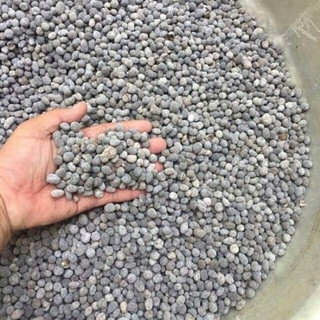 Combo 4 gói phân Dê đã qua xử lý