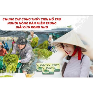 Rong nho Sabudo 20g combo 5 gói