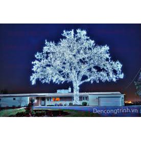 Đèn led 2m mầu trắng ấm