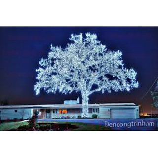Đèn led 2m mầu trắng ấm (có pin)