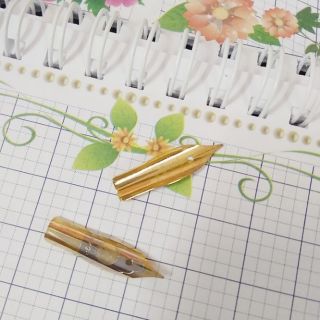 Ngòi hoa vàng bút thầy ánh