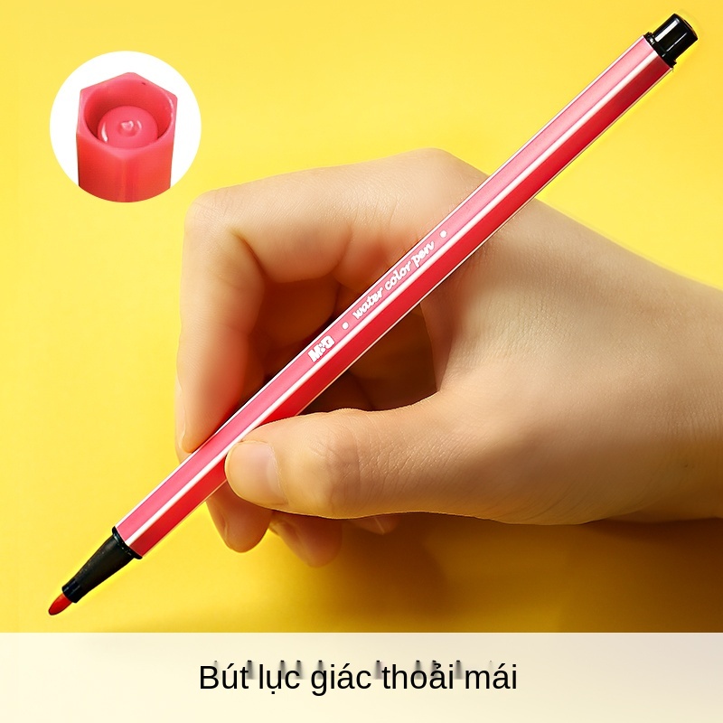 Bút màu nước buổi sáng cho trẻ mẫu giáo Bộ đặc biệt cọ vẽ mỹ thuật học sinh tiểu học, văn phòng phẩm có thể rửa được, gr