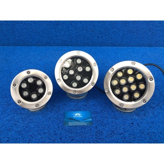 Đèn Led Âm Nước 6W đến 12W Trang Trí Tiểu Cảnh Hồ Koi. [CHÍNH HÃNG] Inox 304, Tiêu Chuẩn IP68. BH 12 tháng