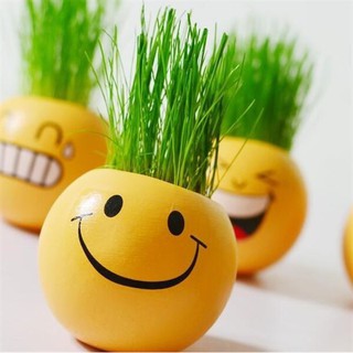 Chậu trồng cây hình mặt cười ngộ nghĩnh tặng kèm hạt giống