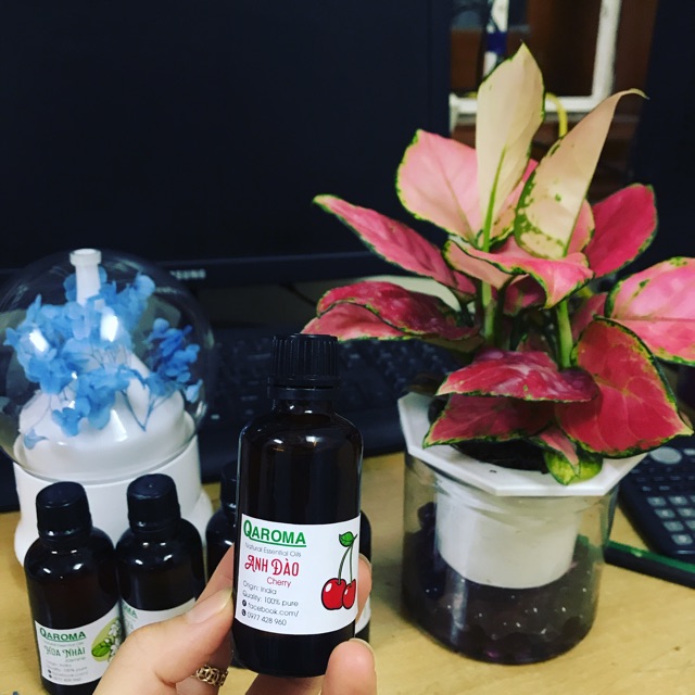 Tinh dầu khuếch tán