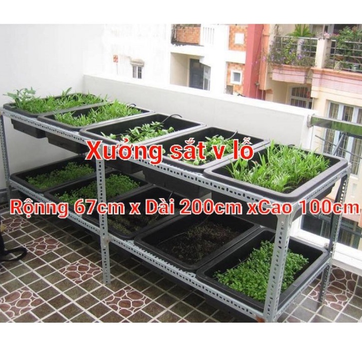 Khung kệ sắt trồng rau sạch 2 tầng dùng cho 10 khay trồng rau kích thước khay 67x42cm
