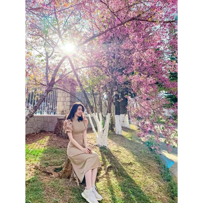đầm phối nude