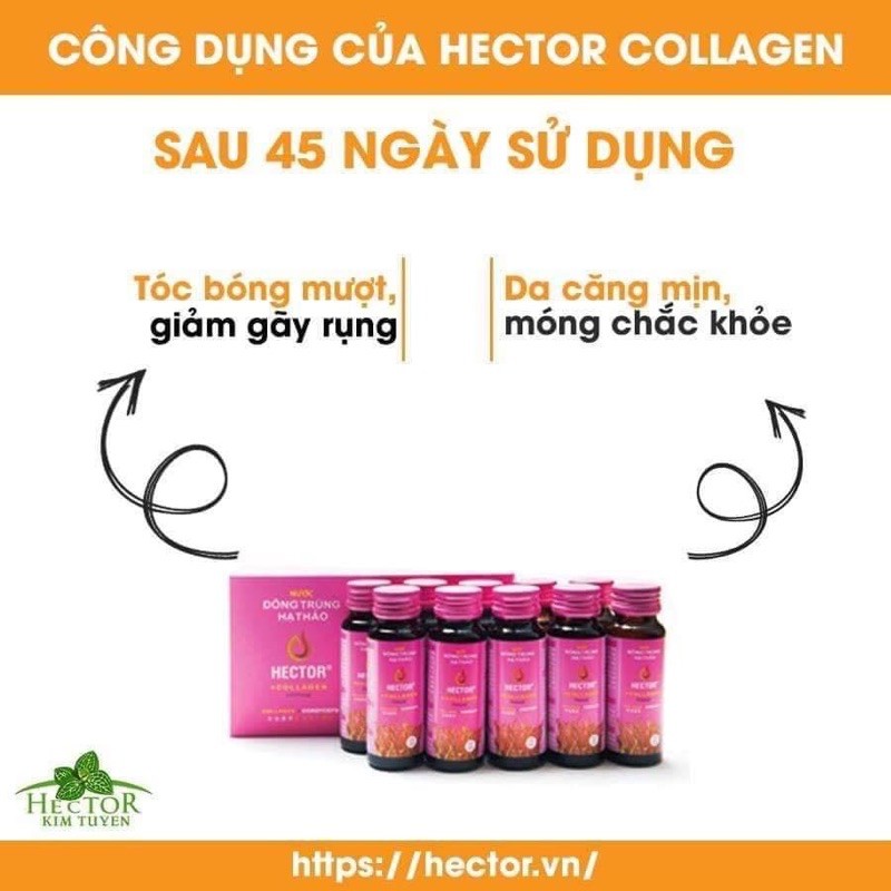 NƯỚC ĐÔNG TRÙNG HẠ THẢO COLLAGEN HECTOR