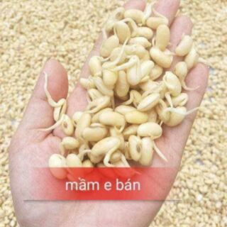 MẦM ĐẬU NÀNH ORGANIC LINH SPA