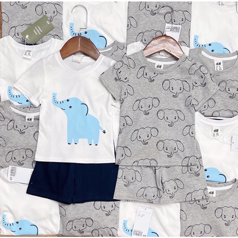 Set 2 bộ cotton bé HM bé trai