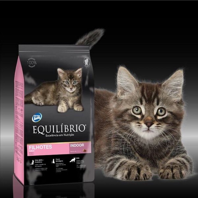 EQUILIBRIO Kitten | Thức ăn hạt cho mèo con - bao 1,5kg