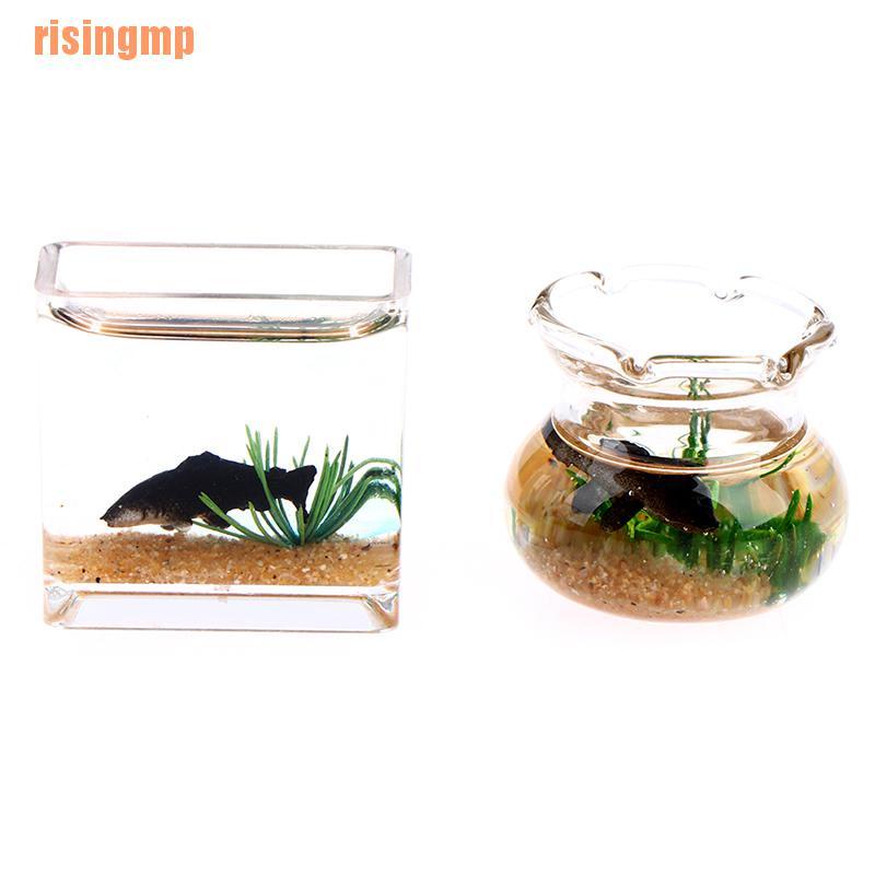 Mô Hình Trang Trí Bể Cá Thu Nhỏ &amp; X House