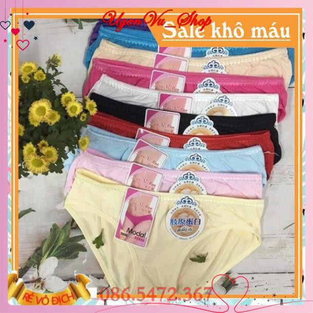 Quần lót, quần chip cotton 802 [Rẻ vô địch [Chính hãng