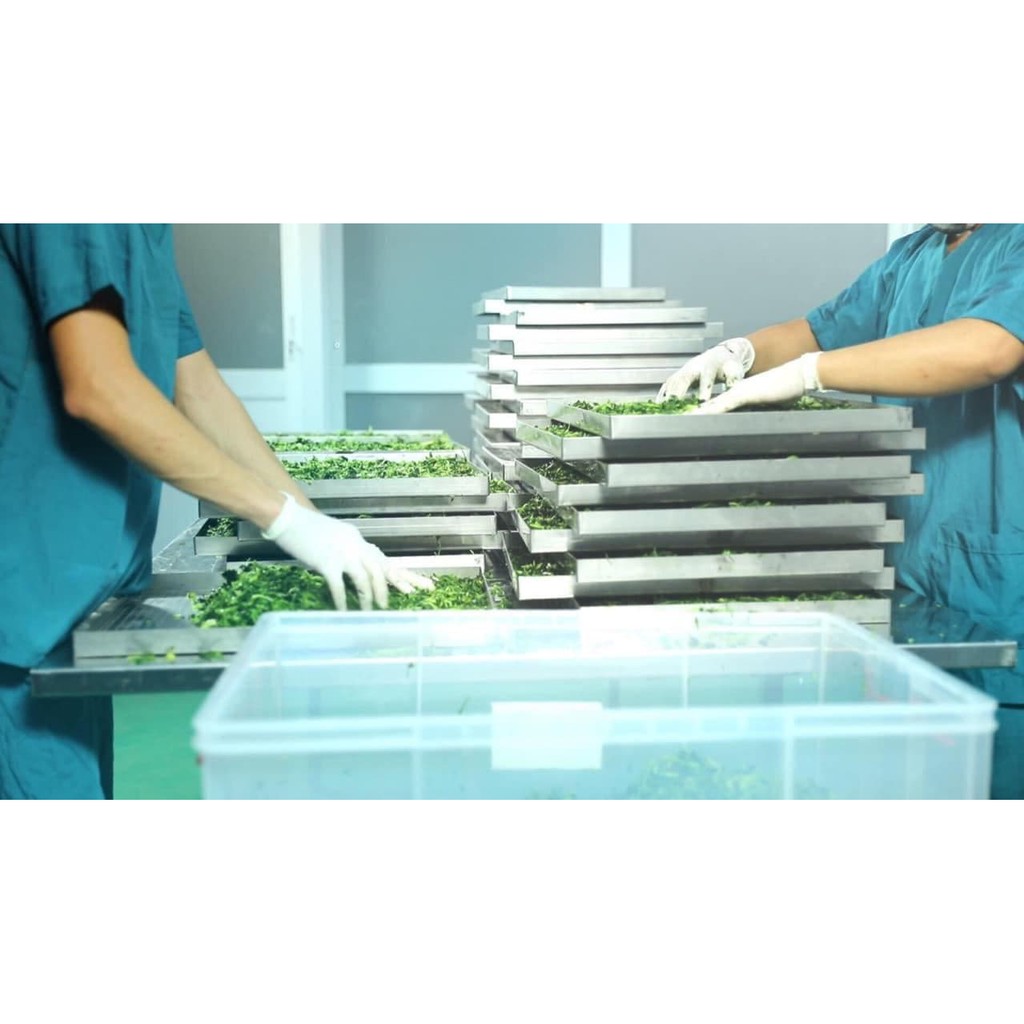 Bột rau má Amazing Powder - CÓ GIẤY KIỂM NGHIỆM SẢN PHẨM - Hỗ trợ thải độc, mát gan, làm đẹp da | BigBuy360 - bigbuy360.vn