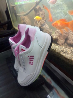 Giày nữ SNEAKERS thể thao Đế Cao