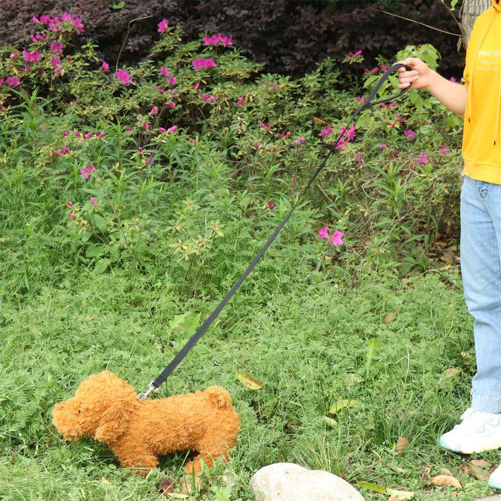 Dây Dắt Thú Cưng Đi Dạo Tiện Dụng