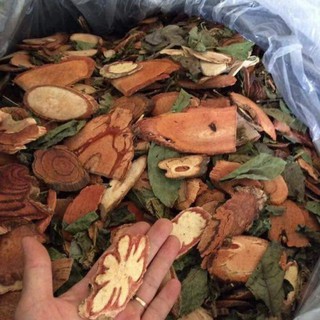 Thảo dược cỏ máu Điện Biên