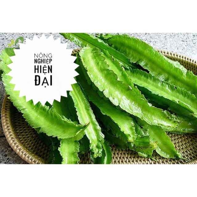 Hạt Giống Đậu Rồng (10gram)