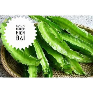 Hạt Giống Đậu Rồng