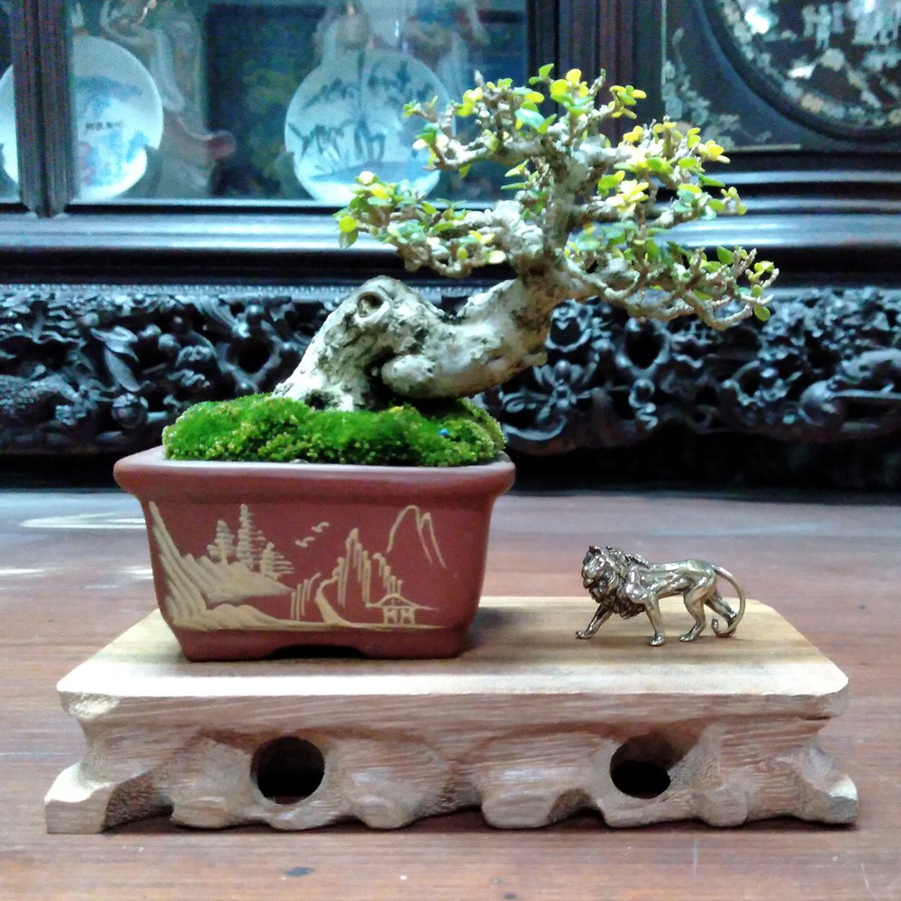 Sư tử mini bằng đồng giá rẻ làm phụ kiện tiểu cảnh, phụ kiện bàn trà, trang trí bonsai, làm móc khóa | BigBuy360 - bigbuy360.vn