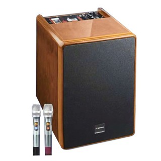 Loa kẹo kéo karaoke bluetooth Sansui SG10-12