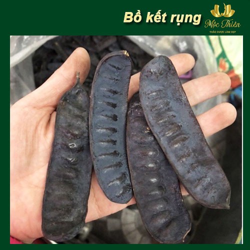 Bồ kết khô chín rụng 1kg