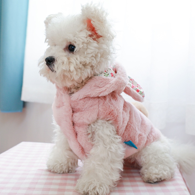 Aó thỏ bông CAMQUYTSTORE ấm áp mùa đông dễ thương cho thú cưng