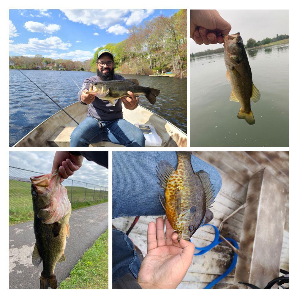 MUVAKO Bộ 10 Mồi Câu Cá Giả Bằng Silicon Mềm 36mm 0.3g