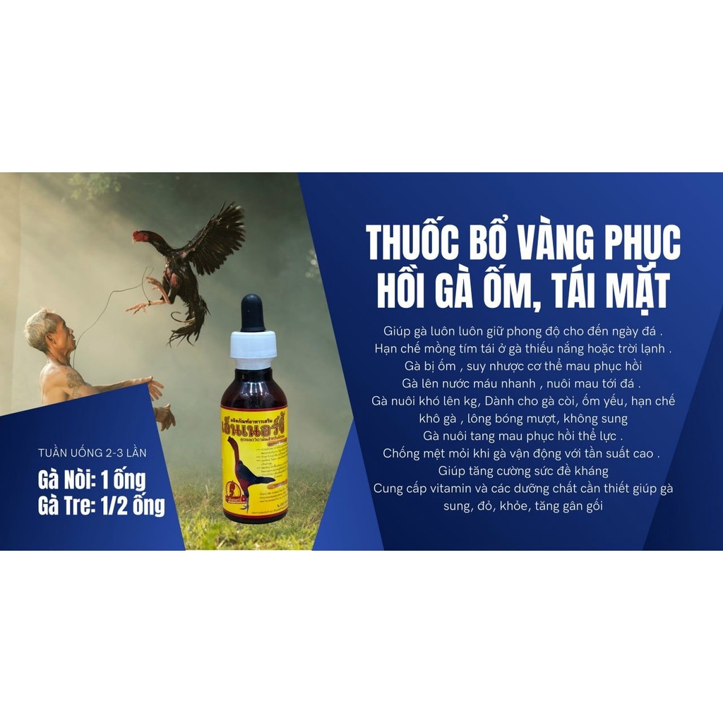 [ Hàng Chính Hãng] 60ML Dinh Dưỡng BỔ VÀNG PHỤC HỒI GÀ ỐM, TÁI MẶT