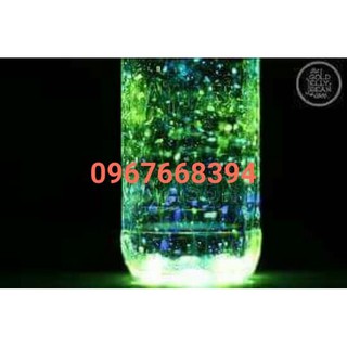 com bo 10 lọ bột dạ quang đủ màu ( tặng que vẽ, cọ vẽ )