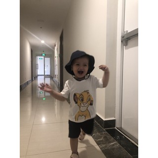 Set 3ct Lion sư tử