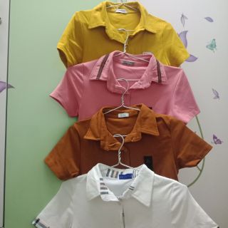 Áo thun thái body cổ bẻ