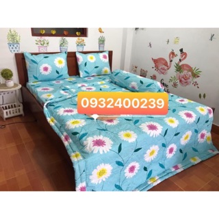 Drap thắng lợi 100% cotton