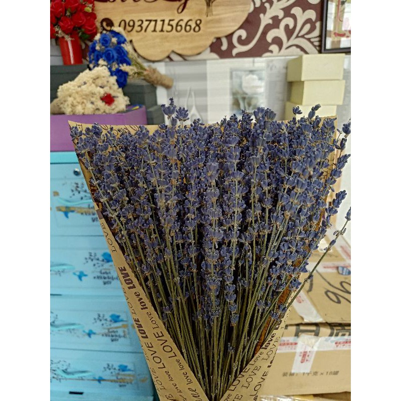 Bó hoa lavender oải hương khô 400 cành tím nhập Pháp 💓FREE SHIP💓