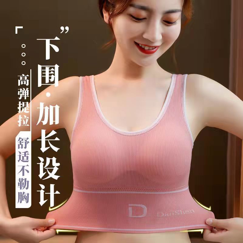 Áo Ngực Thể Thao Không Gọng Có Mút Nâng Ngực Plus Size 35-95KG