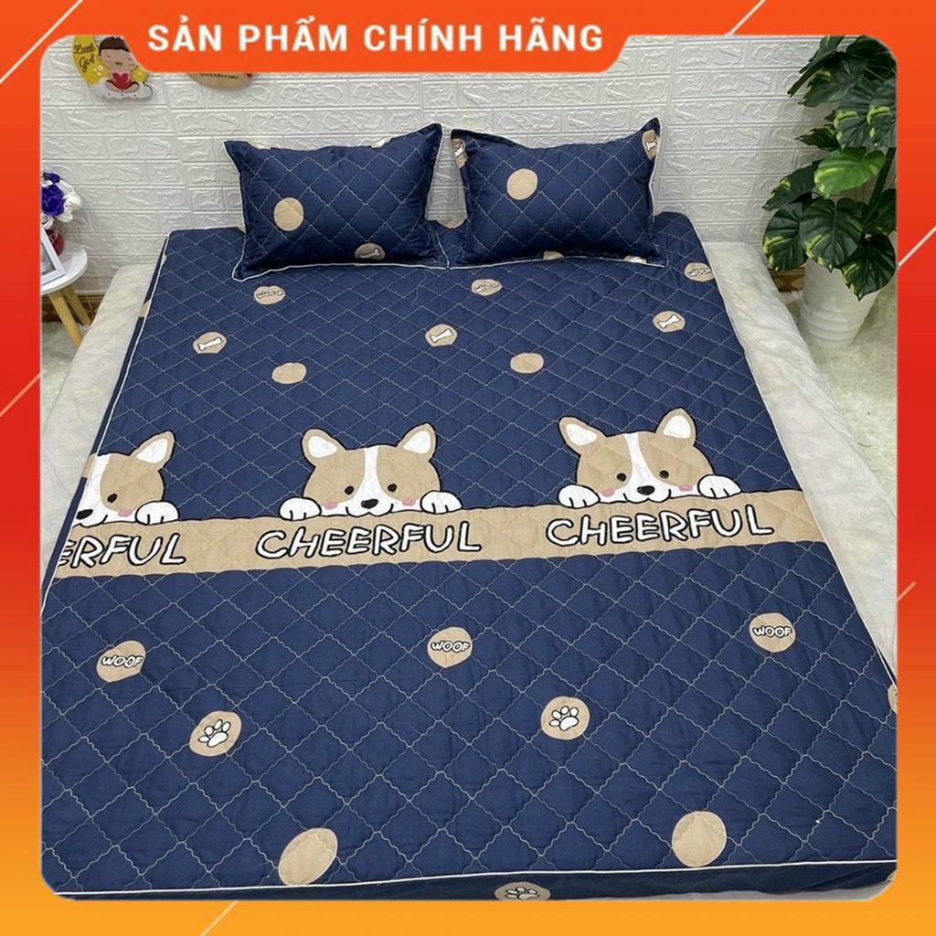 Ga Chun Trần Bông trải giường chất liệu cotton poly giá rẻ nhiều màu sắc lựa chọn | BigBuy360 - bigbuy360.vn
