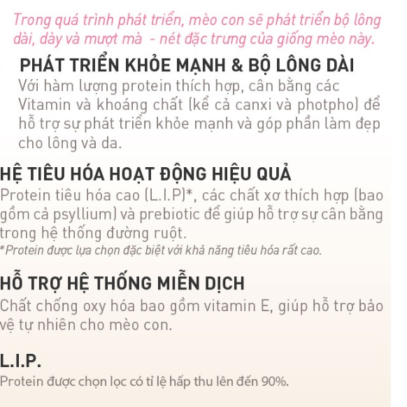 Hạt mèo con Royal Canin Persian Kitten Thức ăn cho mèo con 400g Petemo Pet Shop