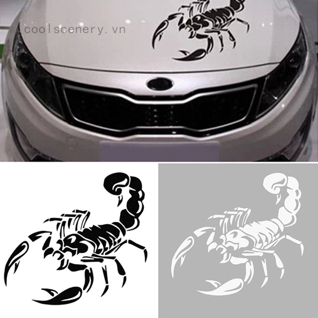Decal trang trí xe hơi