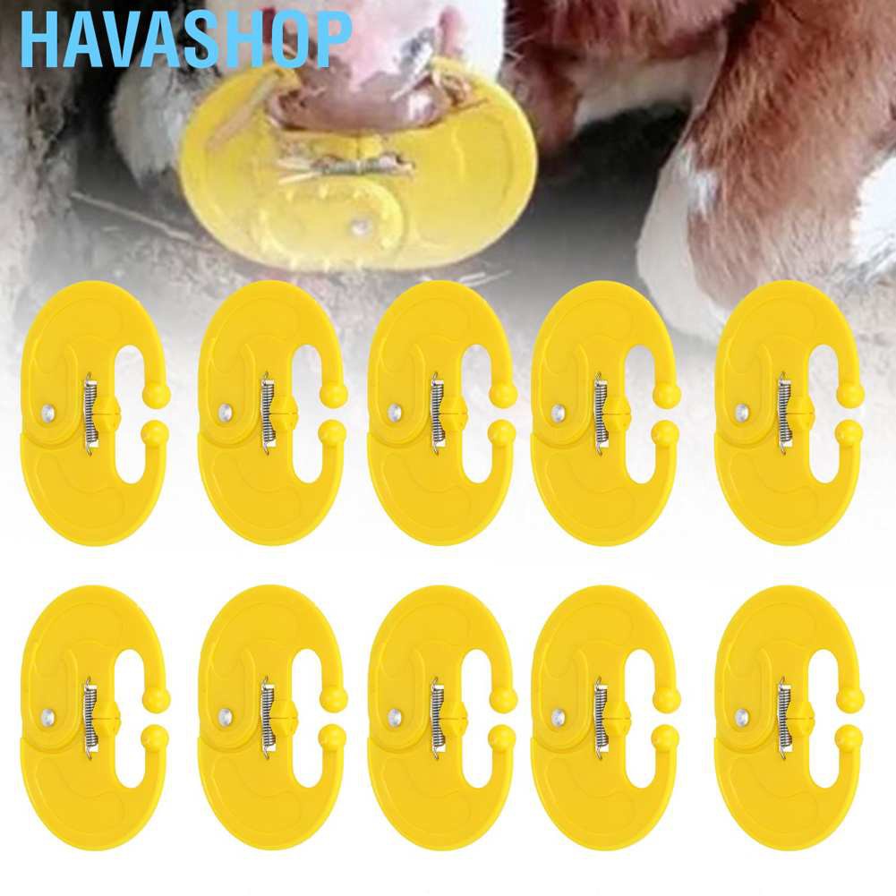  Havashop 10PCS ABS Cow Nose Thorn Calf Weaner Sucking Preventer Farm Animal Livestock Feeding Equipment