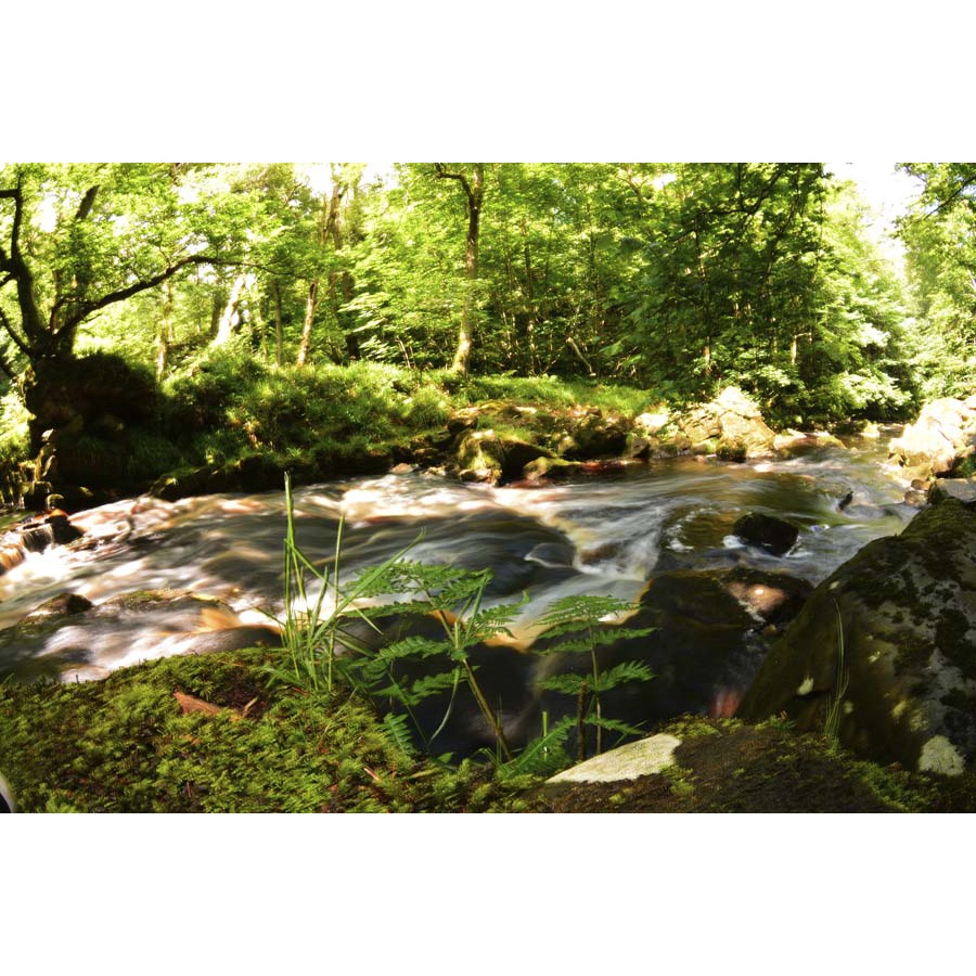 Tranh thác nước thiên nhiên giữ nguyên nét hoang sơ của núi rừng, trông như một dải lụa trắng tặng keo và dụng cụ dán