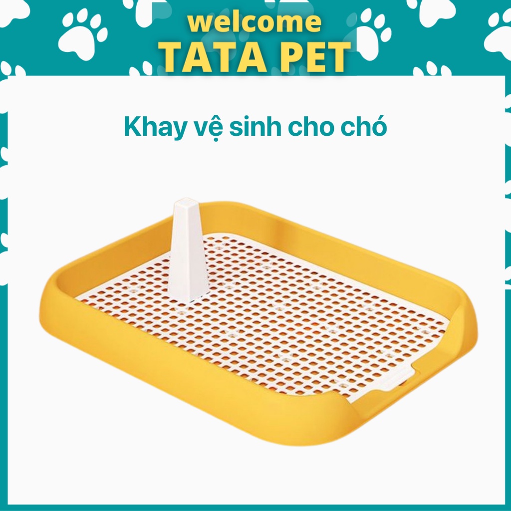 Khay vệ sinh cho chó cái đực nhỏ thành thấp 45x36x5.5cm