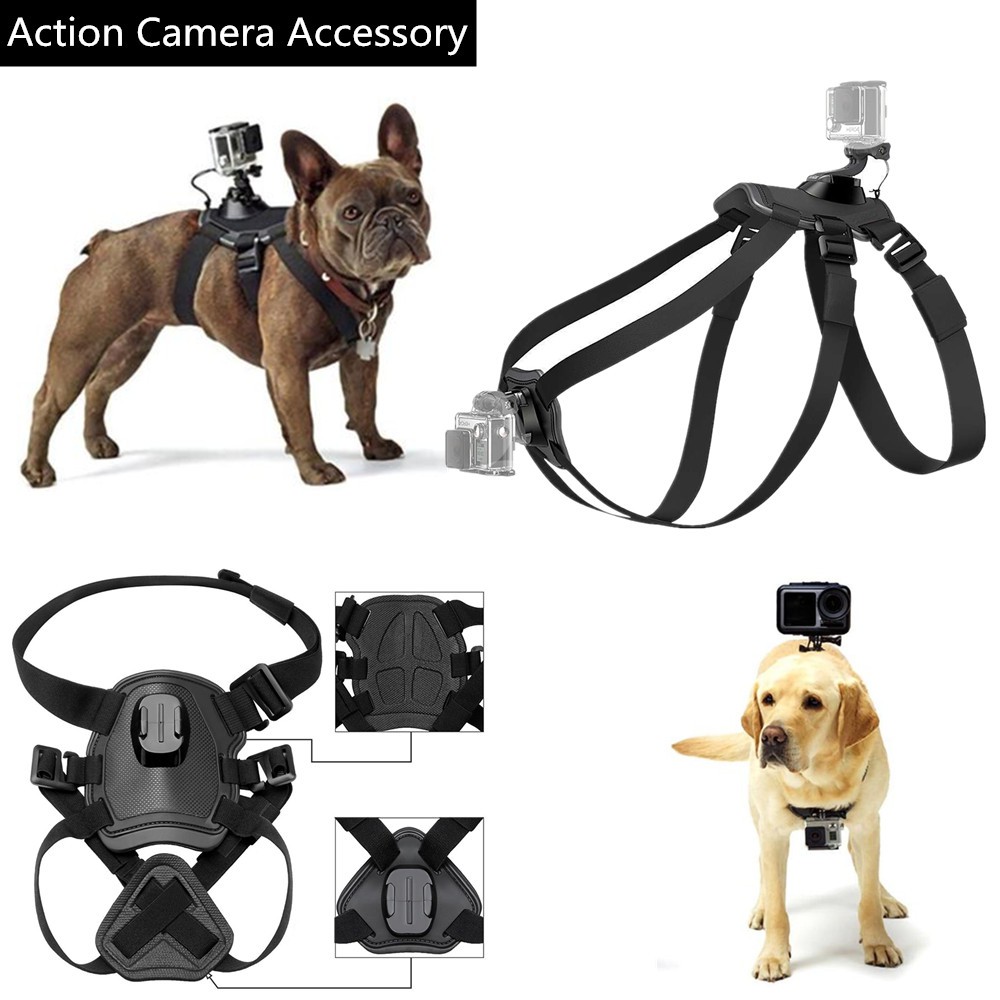 Adjustable Fetch Dog Band Dog harness Animal Pet Chest Belt Strap Mount Holder Stand For Gopro Hero 9 8 7 6 5 Insta360 One X X2 R Action Camera Accessory