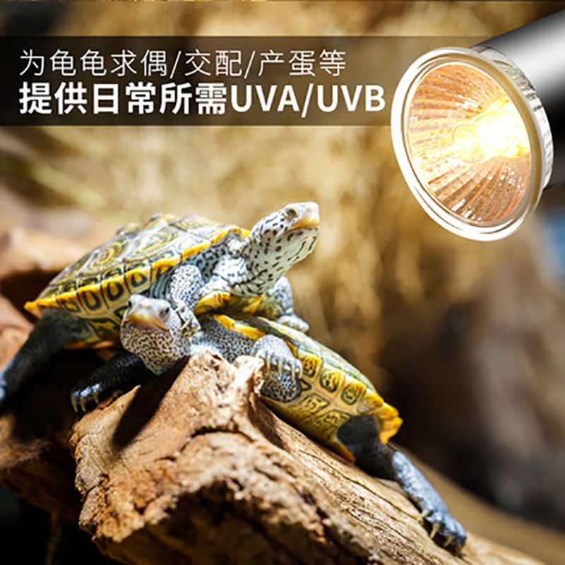 Đèn sưởi bò sát UVA+UVB 3.0 - Đèn sưởi kẹp thành bể (công tắc)- sưởi cho rùa và thú cưng - phụ kiện bò sát - shopleo